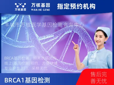 BRCA1/2基因检测