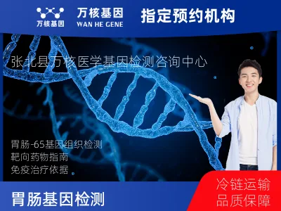 胃肠-65基因（组织版含MSI）