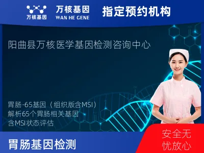 胃肠-65基因（组织版含MSI）