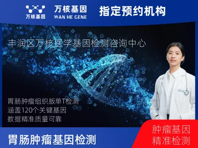 胃肠肿瘤-120基因（组织版）-单T