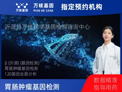 胃肠肿瘤-120基因（组织版）-单T