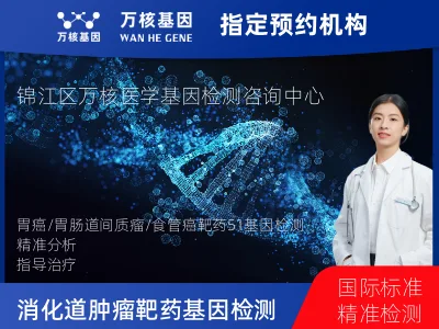 胃癌/胃肠道间质瘤/食管癌靶药51基因检测