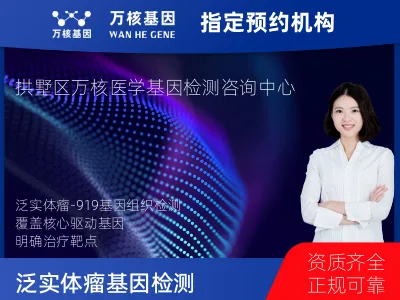 泛实体瘤-919基因（组织版）