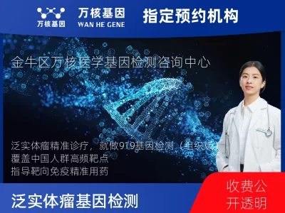 泛实体瘤-919基因（组织版）