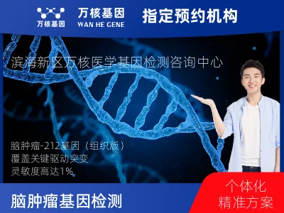 脑肿瘤-212基因（组织版）