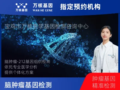 脑肿瘤-212基因（组织版）