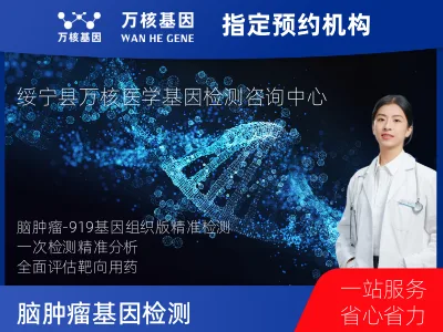 脑肿瘤-919基因（组织版）