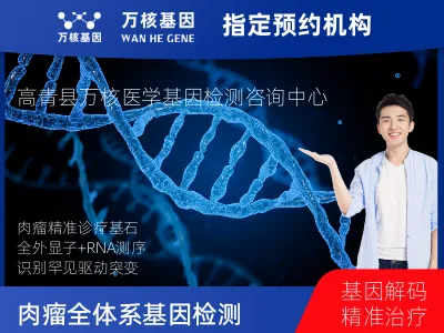 肉瘤全体系基因检测