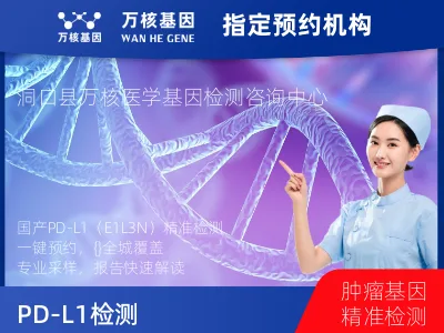 国产PD-L1（E1L3N）