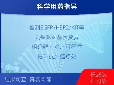 凤泉-消化道肿瘤靶药基因检测-检测流程