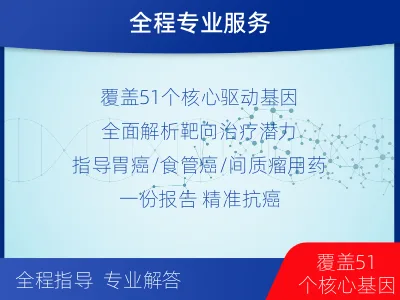 清-消化道肿瘤靶药基因检测-检测介绍