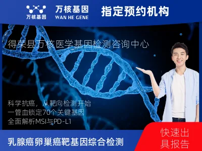 甘孜藏族自治州得荣县乳腺癌/卵巢癌靶70基因+MSI+PD-L1检测