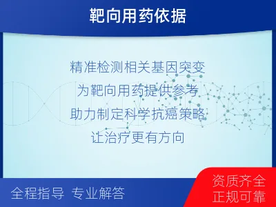 前锋-乳腺癌卵巢癌靶基因检测-检测介绍