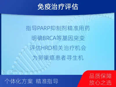 和平-乳腺癌卵巢癌靶基因综合检测-检测流程