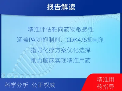 闽清-乳腺癌卵巢癌靶基因检测-检测介绍