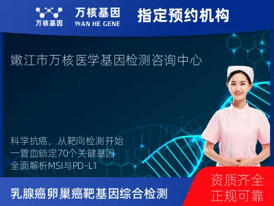 黑河市嫩江市乳腺癌/卵巢癌靶70基因+MSI+PD-L1检测