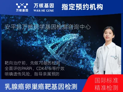 乳腺癌/卵巢癌靶70基因检测