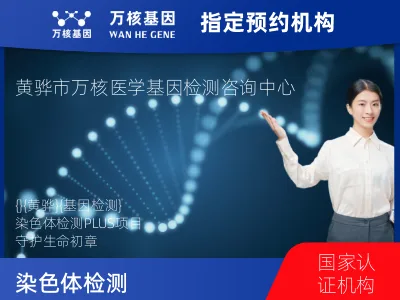 染色体非整倍体异常检测 PLUS项目 (已含保险）