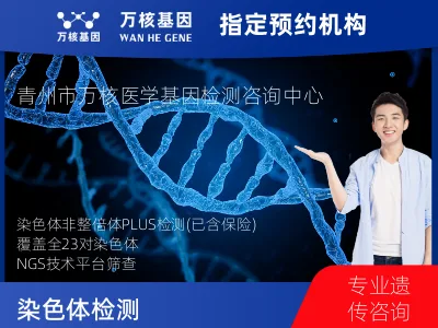 染色体非整倍体异常检测 PLUS项目 (已含保险）