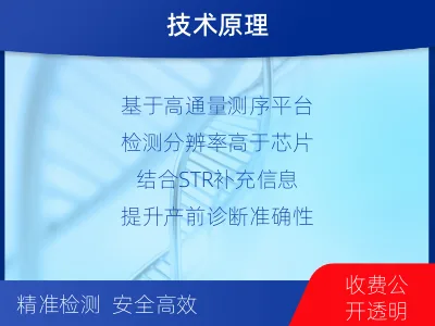 姚安-产前CNV-seq-检测介绍