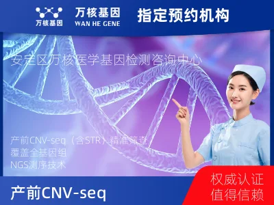 定西市安定区产前CNV-seq（含STR）