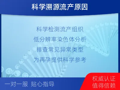红河-流产组织染色体异常-检测流程