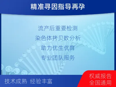 淳化-流产物染色体微阵列分析-报告解读