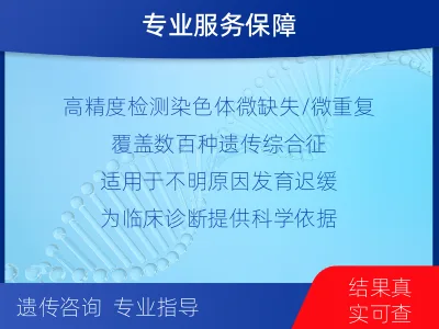 赫章-染色体微阵列分析-检测介绍