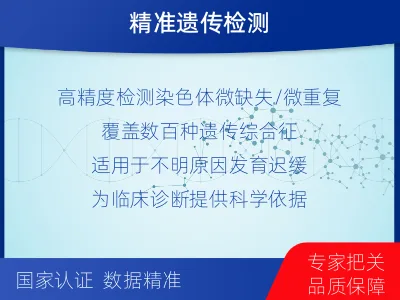 黔西-染色体微阵列分析-检测流程