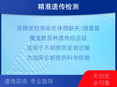 靖远-染色体微阵列分析-检测流程