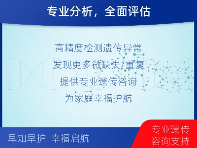 织金-染色体微阵列分析-检测介绍