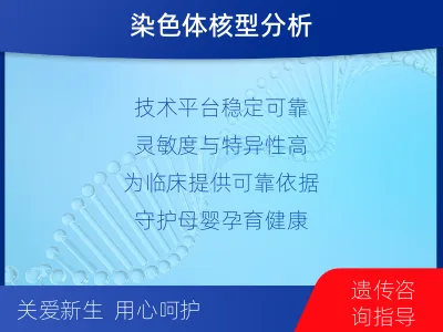 桃山-外周血染色体核型分析-检测流程