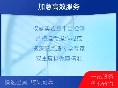 沭阳-外周血染色体核型分析-报告解读