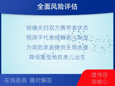 大方-地中海贫血基因检测-检测流程