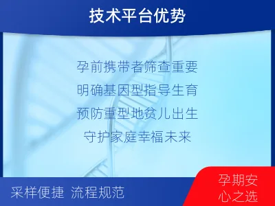 织金-地中海贫血基因检测-检测流程