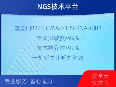 朗-遗传性耳聋基因检测-检测流程