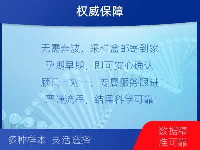 东莞企石-无创产前亲子鉴定-检测流程