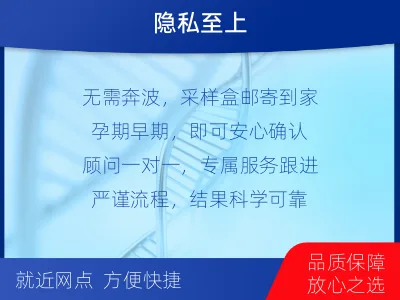 临沂河东-无创产前亲子鉴定-检测流程