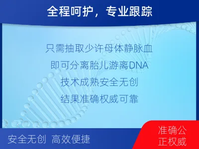 洛阳洛龙-亲子鉴定无创-报告解读