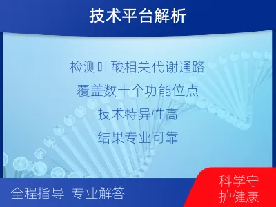 黔西-叶酸营养综合评估检测-检测流程