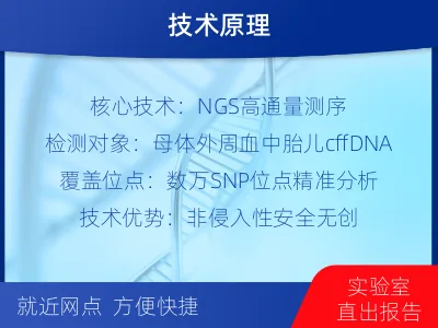 邯山-亲子鉴定怀孕-报告解读