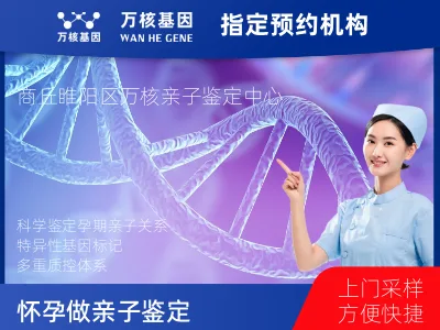 怀孕做亲子鉴定