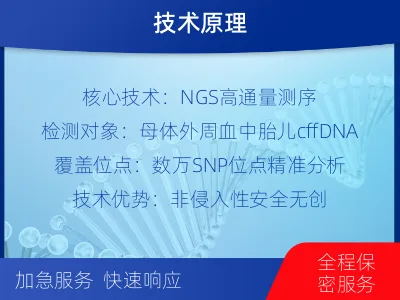榆林清涧-亲子鉴定怀孕-检测流程