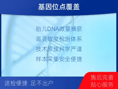 孙吴-怀孕可以做亲子鉴定-检测流程