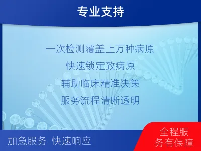 栖霞-病原微生物宏基因组检测-报告解读