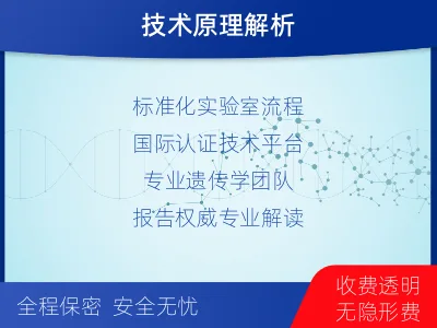 获嘉-无创dna亲子鉴定-报告解读