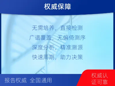 凤-病原微生物宏基因组检测-报告解读