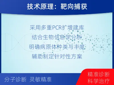 错那-多重病原靶向检测-检测流程