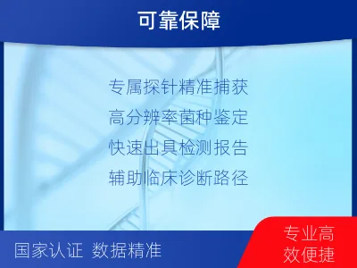 敖汉-分枝杆菌靶向检测-检测流程