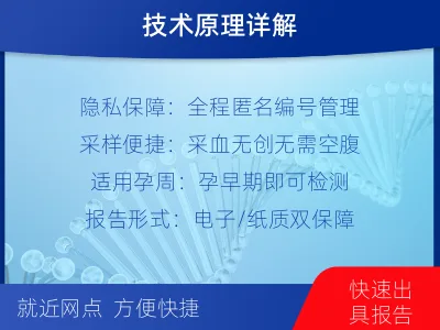 唐山丰南-亲子鉴定无创-检测流程